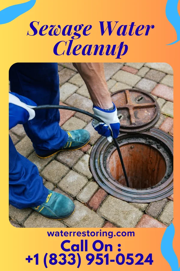 Sewage Water Cleanup in Haughton, LA